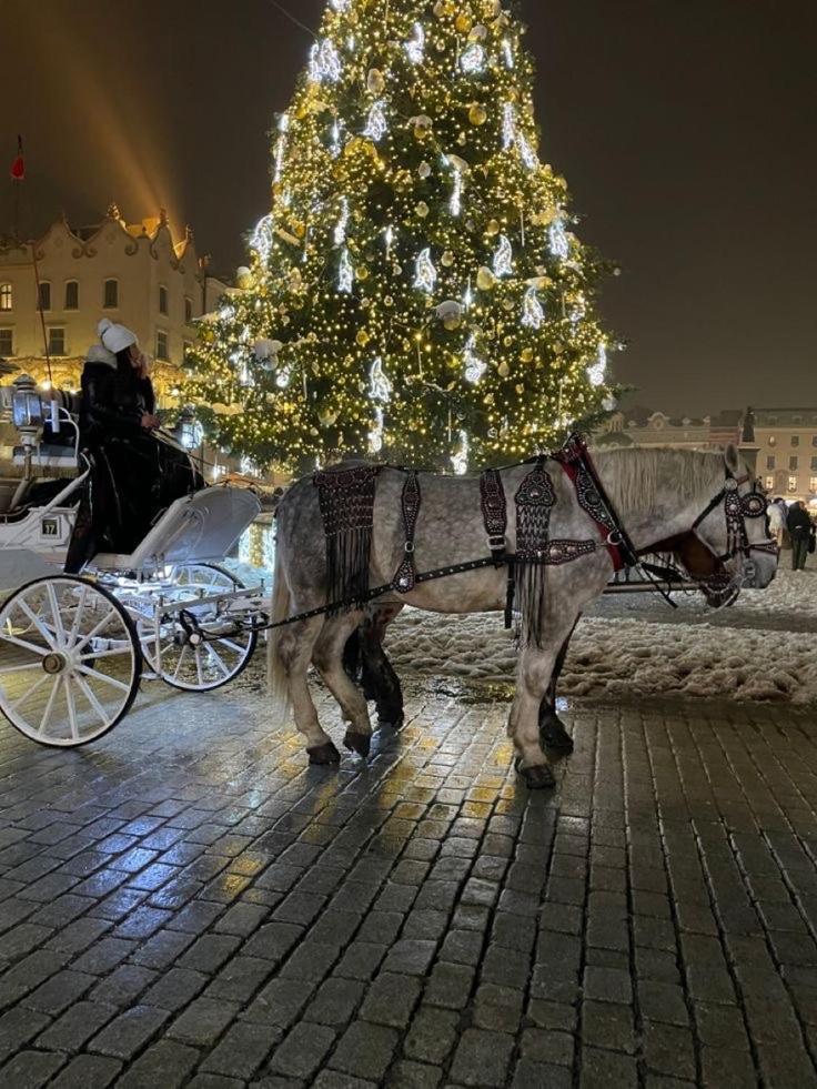 Pszczelna Apartment Krakow Dış mekan fotoğraf